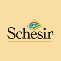 Schesir