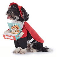 Funny Costume